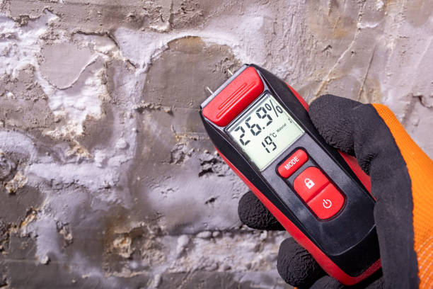 Best Certified Mold Removal  in Grenelefe, FL