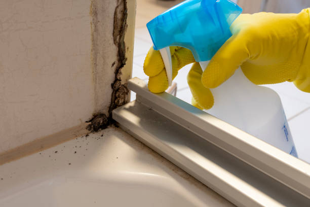 Best Crawl Space Mold Removal  in Grenelefe, FL