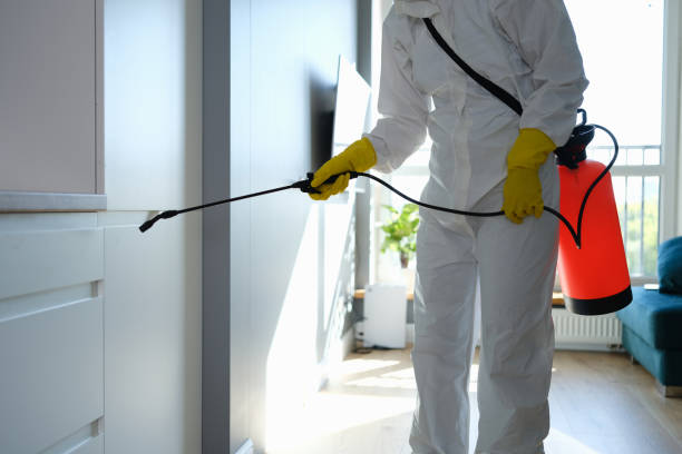 Office Mold Removal Services in Grenelefe, FL