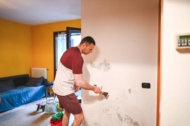 Best Mold Removal and Inspection  in Grenelefe, FL